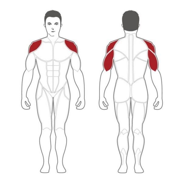 SHOULDER PRESS MACHINE (PLSP)