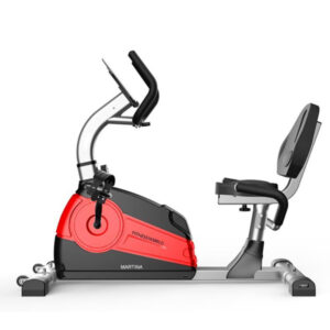 Martina Recumbent Bike