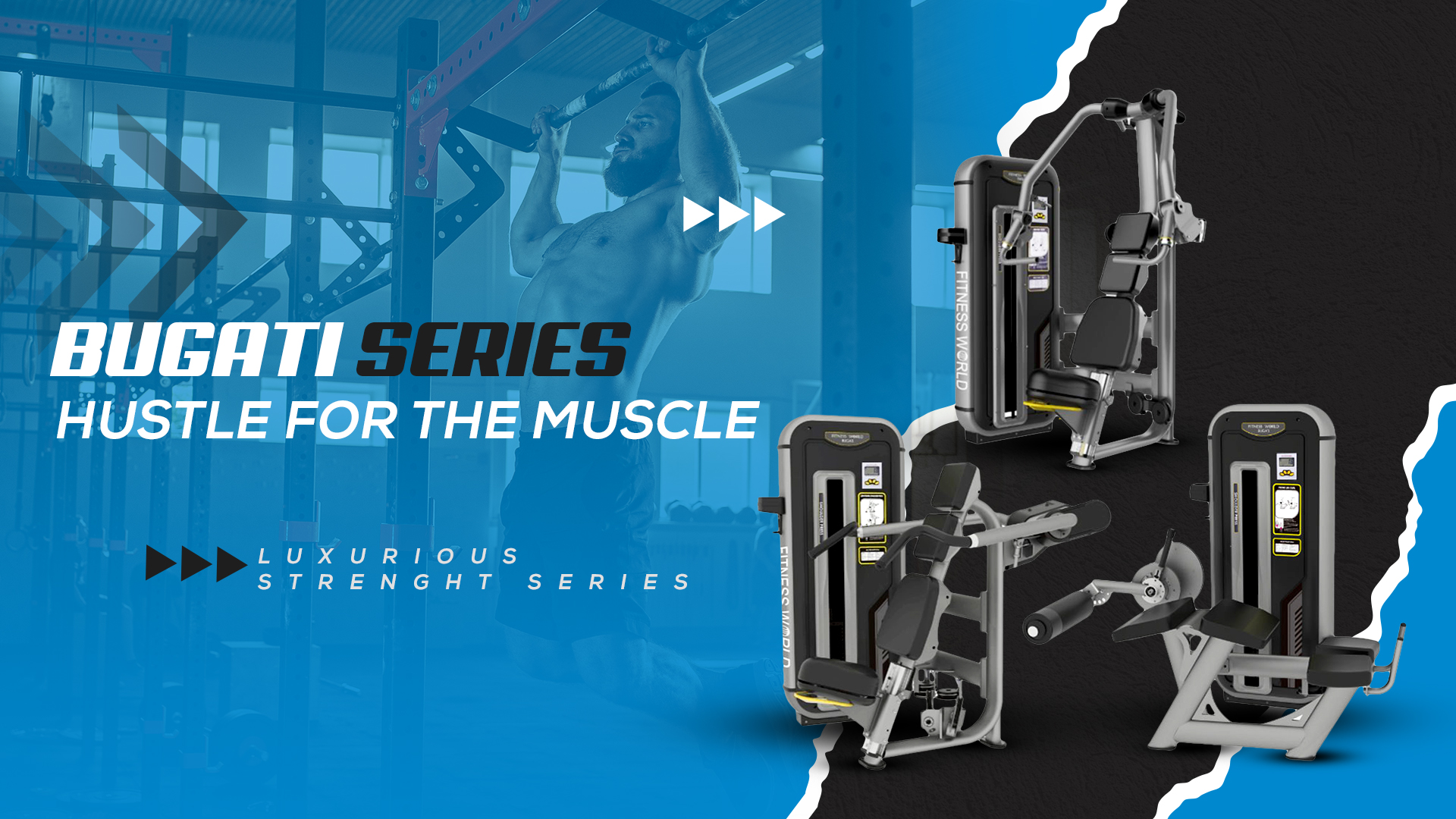 Fitness Equipment, Commercial & Home Gym Equipment and Gym Setup Services